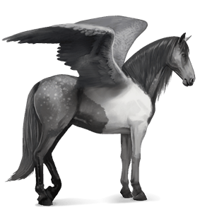 riding pegasus dapple grey