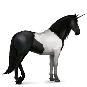 riding unicorn marwari cremello tobiano