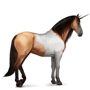 riding unicorn vanner dark bay tobiano