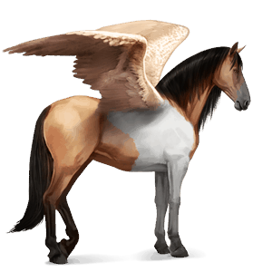 riding pegasus dun