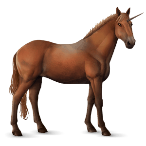 riding unicorn irish hunter chestnut