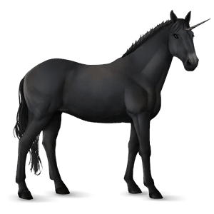 riding unicorn tennessee walker black