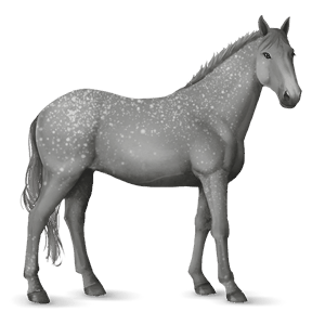 riding horse purebred spanish horse dapple grey