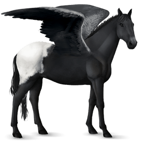 riding pegasus arabian horse dapple grey