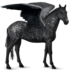 riding pegasus dapple grey