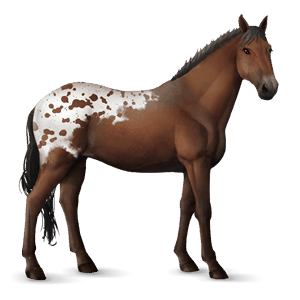 riding horse tennessee walker roan
