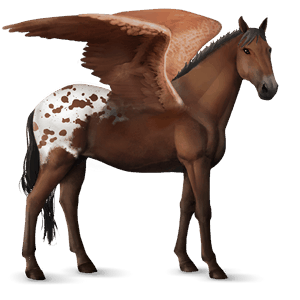 riding pegasus paint horse liver chestnut tobiano