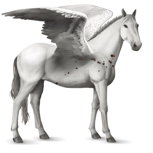 riding pegasus arabian horse light grey