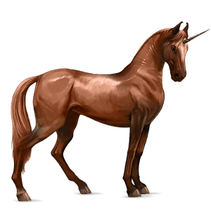 riding unicorn holsteiner black