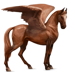 riding pegasus kwpn chestnut