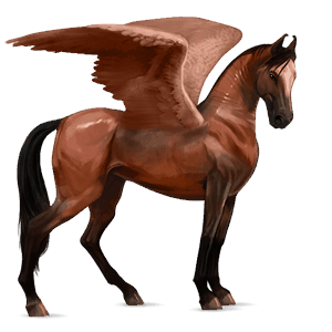 riding pegasus akhal-teke dun