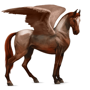 riding pegasus akhal-teke roan