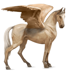 riding pegasus cremello