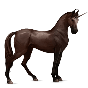 riding unicorn akhal-teke liver chestnut