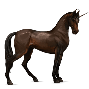 riding unicorn holsteiner bay