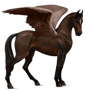 riding pegasus akhal-teke dark bay