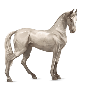 riding horse cremello
