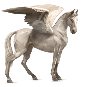 riding pegasus kwpn cremello