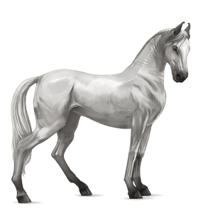 riding horse light grey