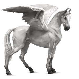 riding pegasus akhal-teke dun