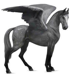 riding pegasus marwari dapple grey