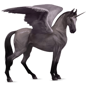 winged riding unicorn friesian black