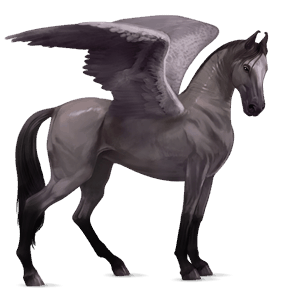 riding pegasus argentinean criollo mouse grey