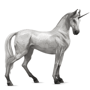 riding unicorn knabstrupper black leopard 