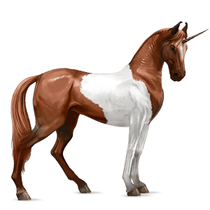 riding unicorn vanner dapple grey tobiano