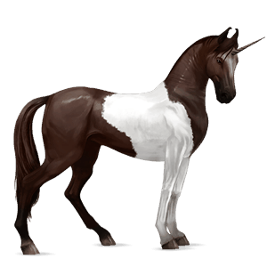 riding unicorn vanner black