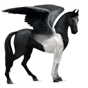 riding pegasus akhal-teke strawberry roan