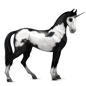 riding unicorn irish hunter dapple grey