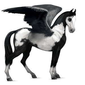 riding pegasus akhal-teke dark bay