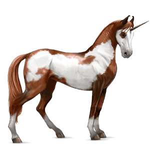 riding unicorn mustang chestnut blanket 