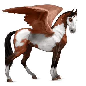 riding pegasus lipizzan bay