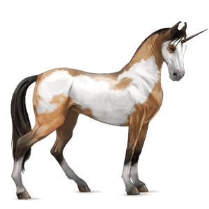 riding unicorn friesian black