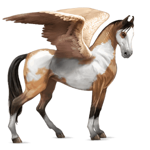 riding pegasus akhal-teke chestnut
