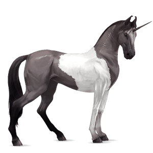 riding unicorn akhal-teke dapple grey
