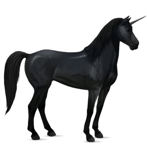 riding unicorn roan