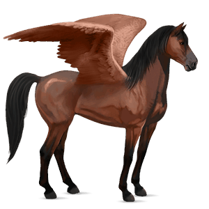 riding pegasus irish hunter bay
