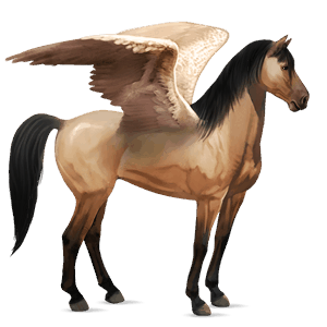 riding pegasus argentinean criollo cherry bay