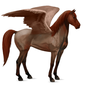 riding pegasus light grey