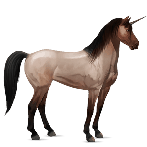 riding unicorn dun