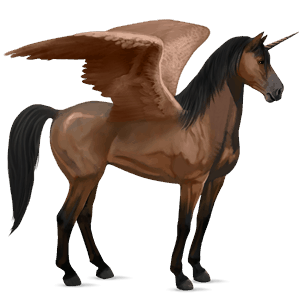 winged riding unicorn french trotter bay