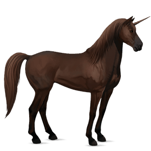 riding unicorn bay