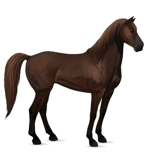 riding horse mustang liver chestnut