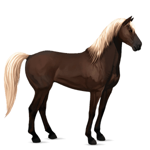 riding horse purebred spanish horse flaxen liver chestnut 
