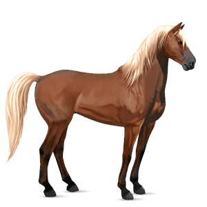 riding horse hanoverian flaxen chestnut 