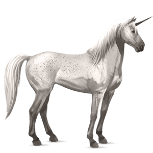 riding unicorn barb fleabitten grey