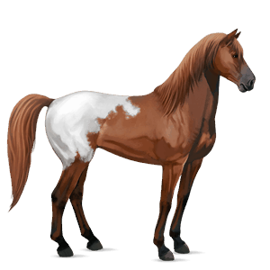 riding horse tennessee walker chestnut
